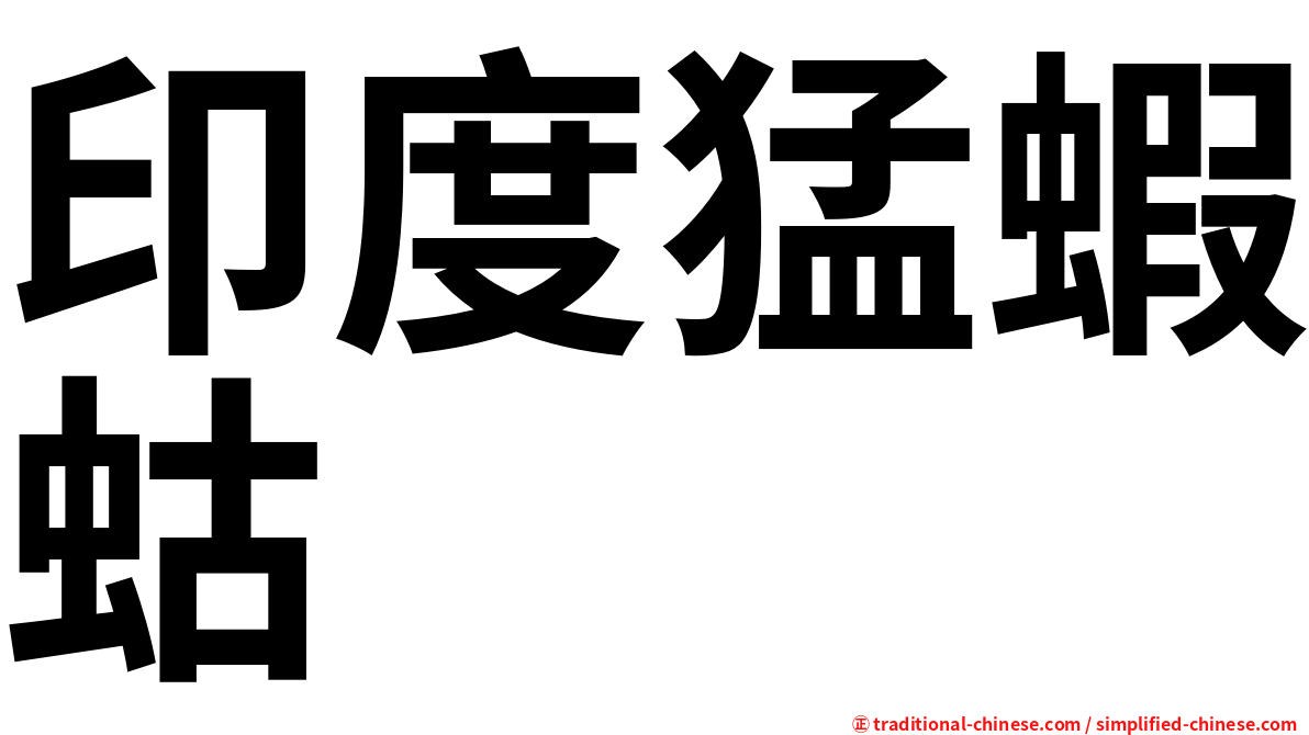 印度猛蝦蛄