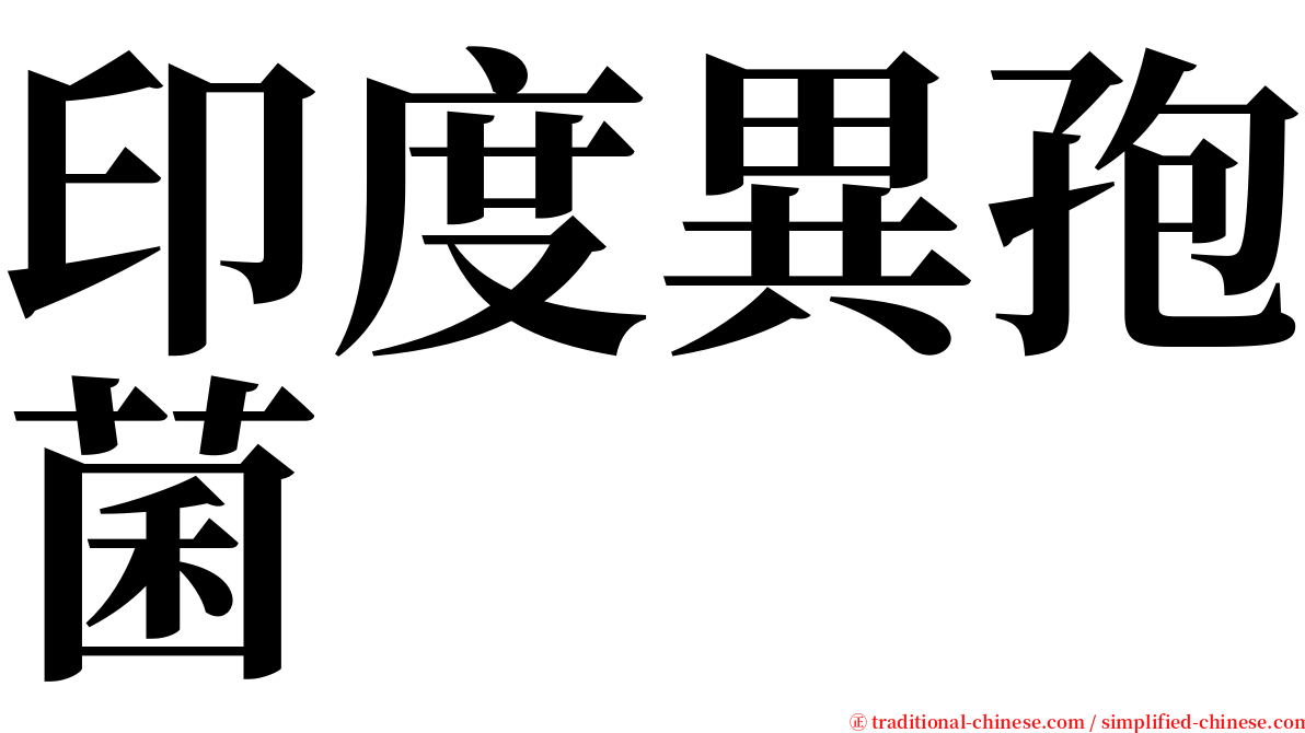 印度異孢菌 serif font