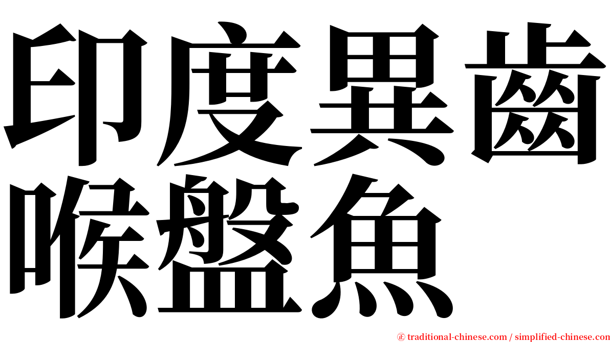 印度異齒喉盤魚 serif font