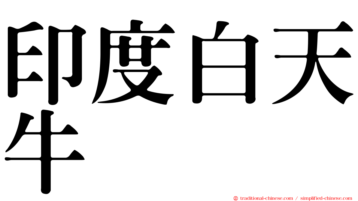 印度白天牛