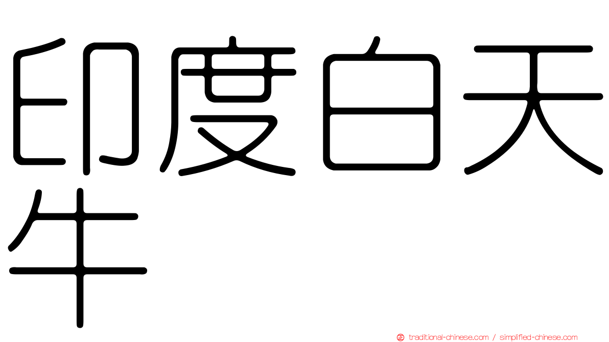 印度白天牛