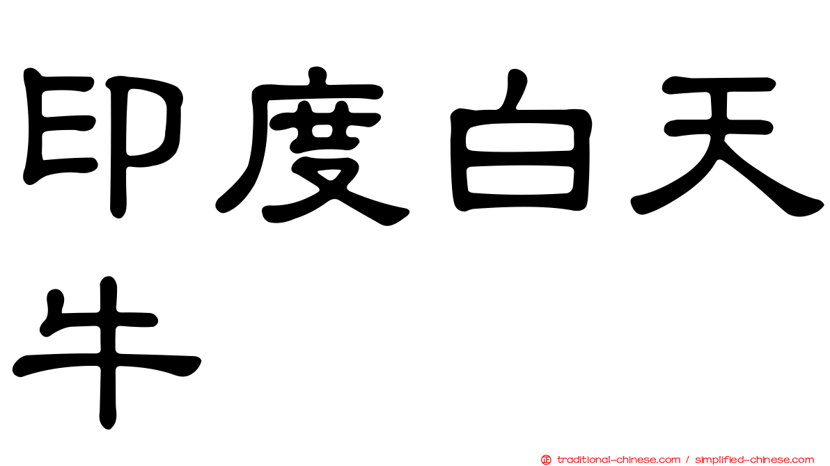 印度白天牛