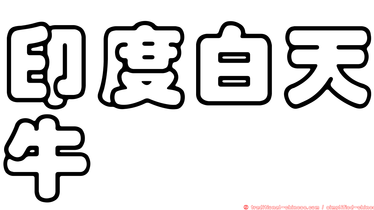 印度白天牛