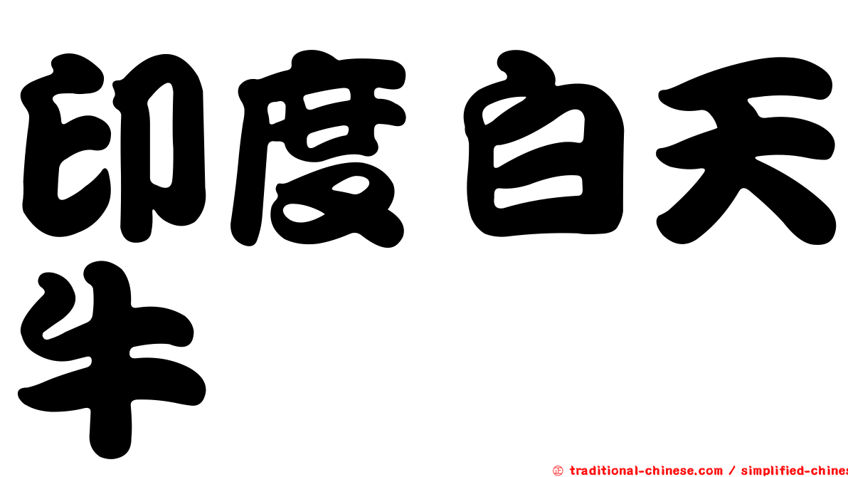 印度白天牛