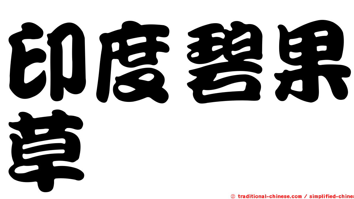 印度碧果草