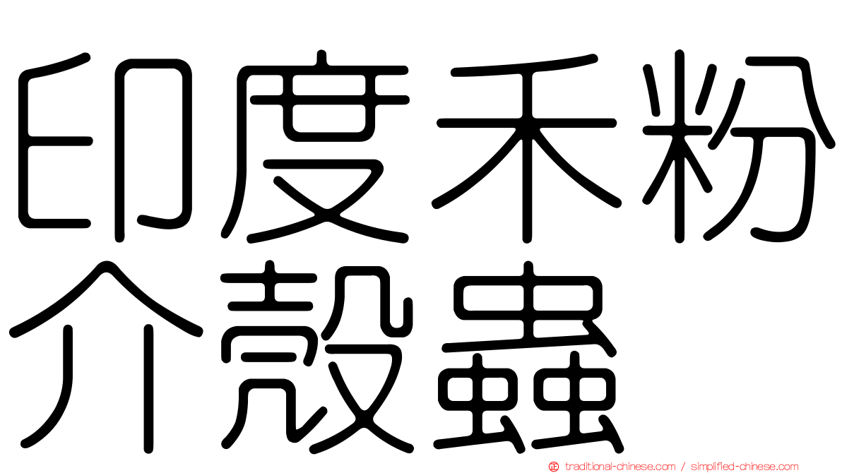 印度禾粉介殼蟲