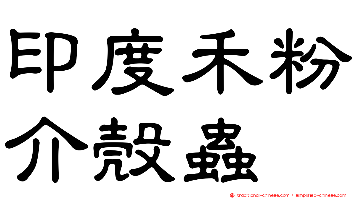 印度禾粉介殼蟲