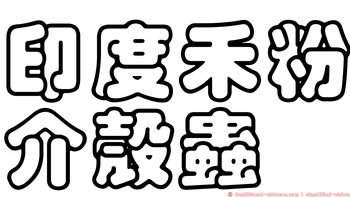 印度禾粉介殼蟲