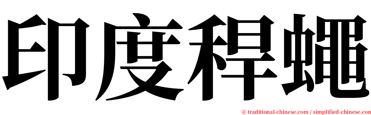 印度稈蠅 serif font