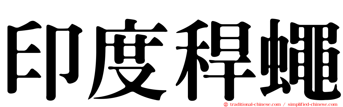 印度稈蠅