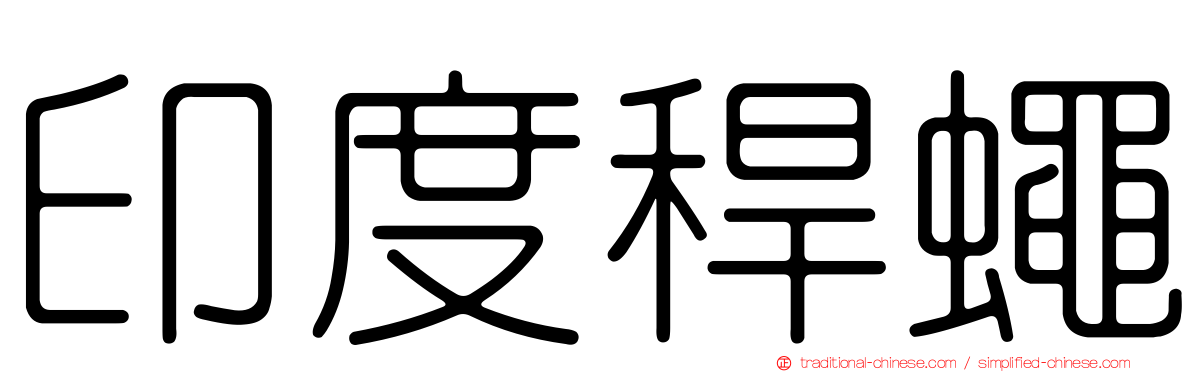 印度稈蠅