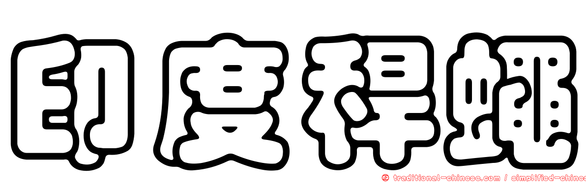 印度稈蠅