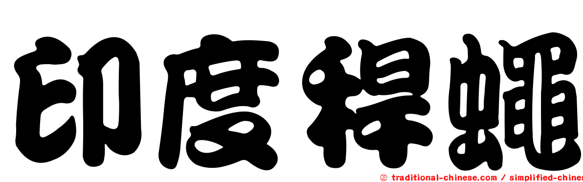 印度稈蠅