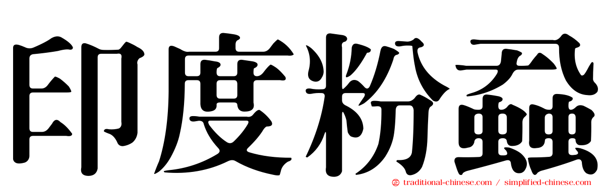 印度粉蝨