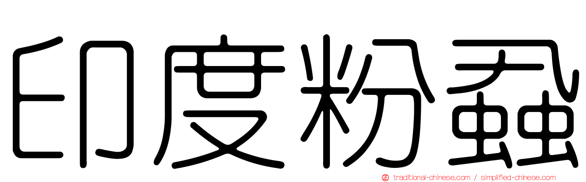 印度粉蝨