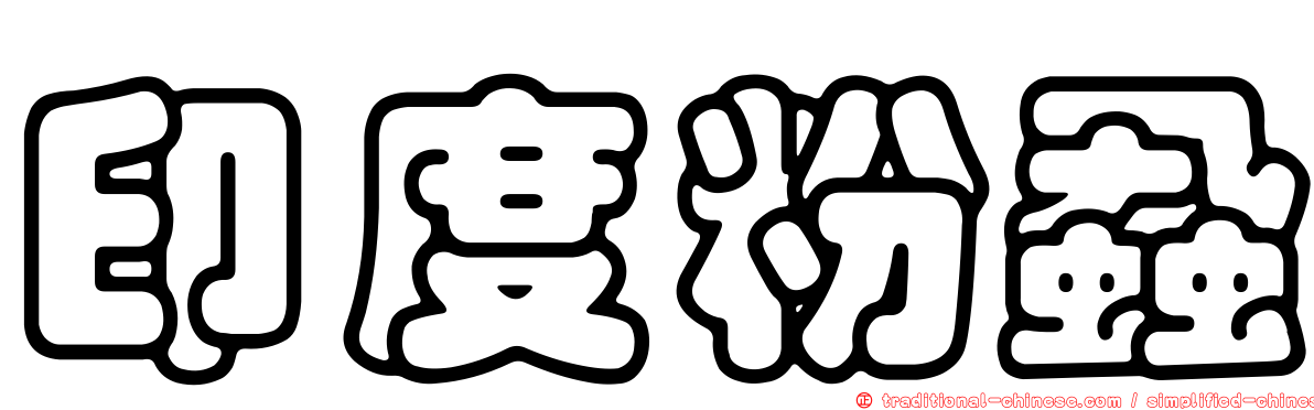 印度粉蝨