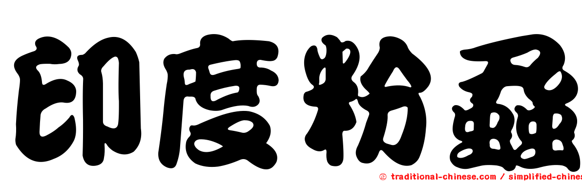 印度粉蝨