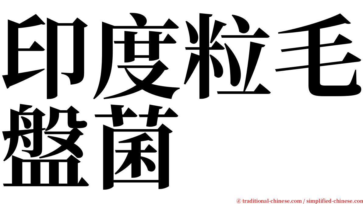 印度粒毛盤菌 serif font