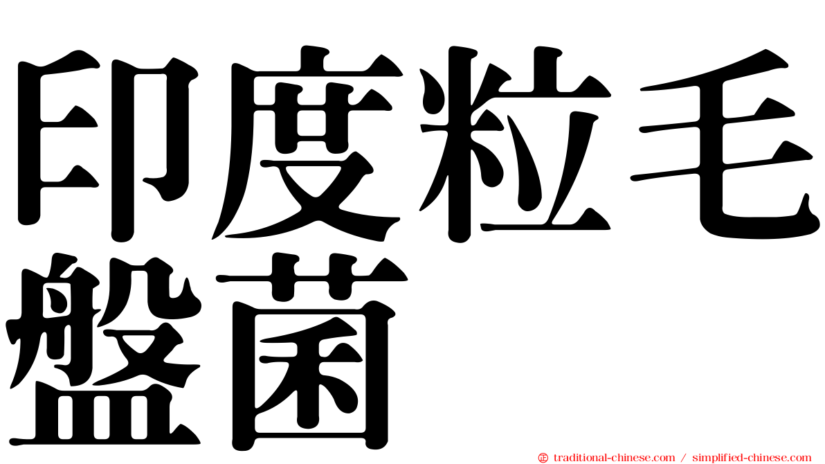 印度粒毛盤菌