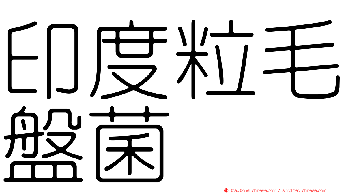 印度粒毛盤菌