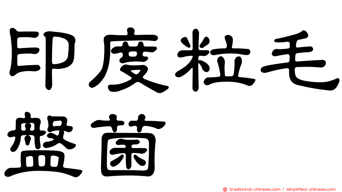 印度粒毛盤菌