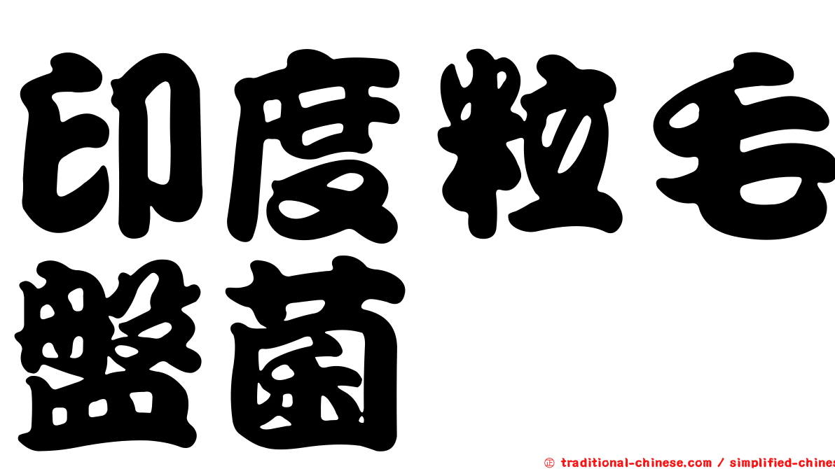 印度粒毛盤菌