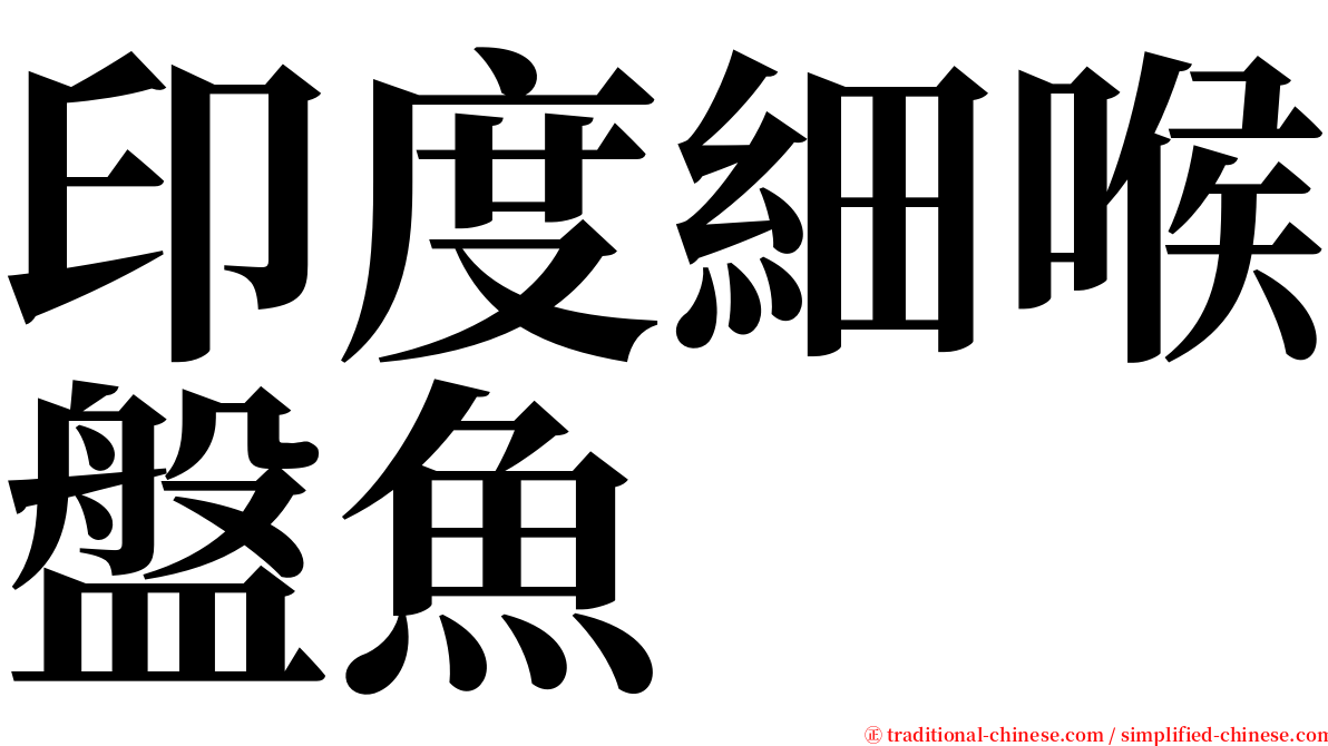 印度細喉盤魚 serif font