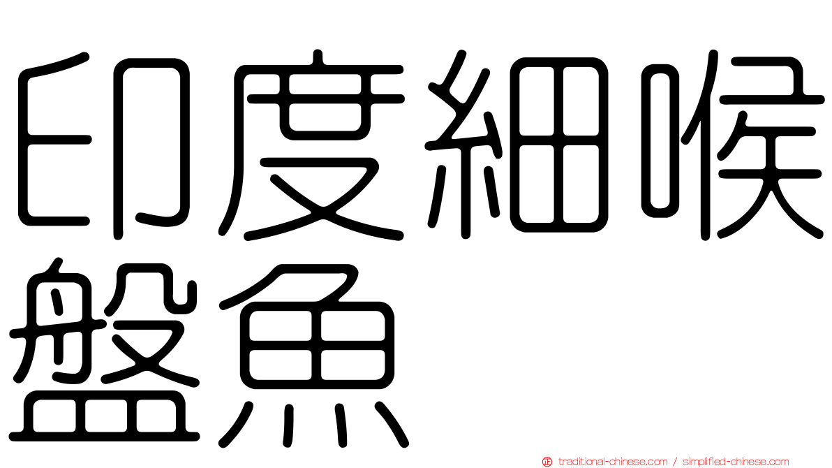 印度細喉盤魚