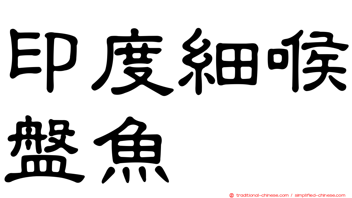 印度細喉盤魚