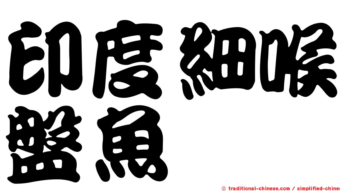 印度細喉盤魚