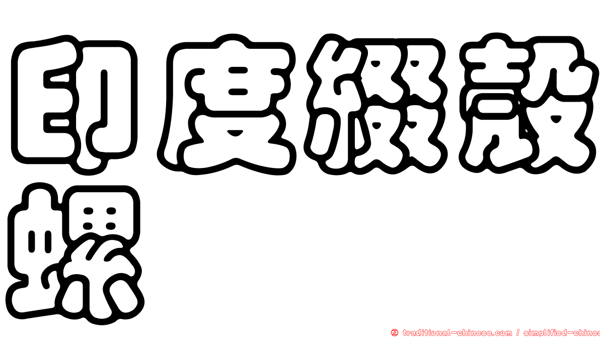 印度綴殼螺