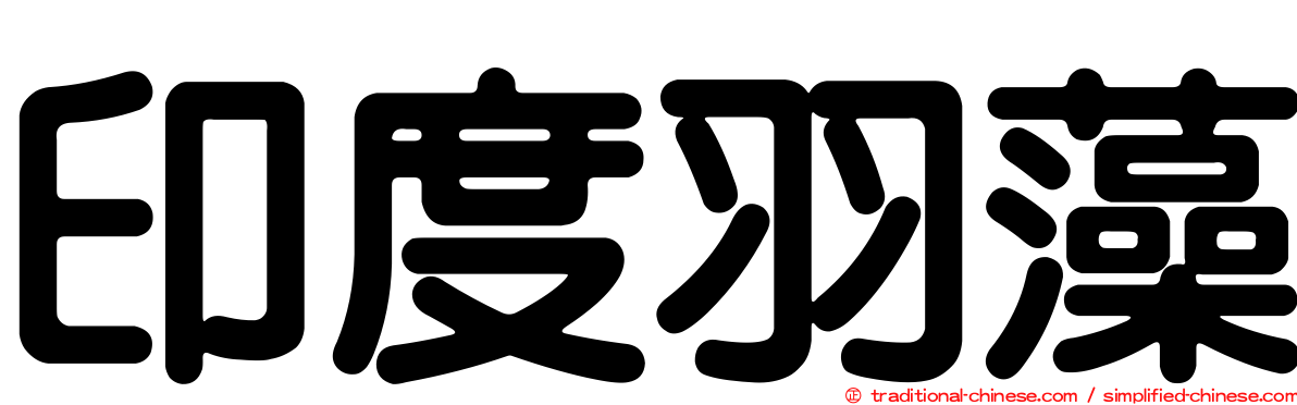 印度羽藻