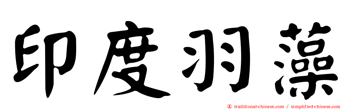 印度羽藻