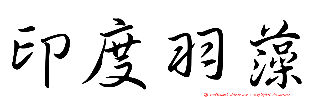 印度羽藻
