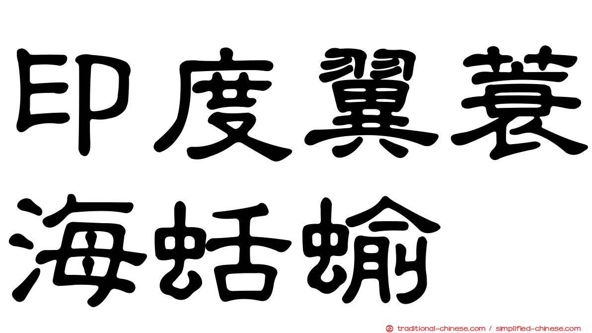 印度翼蓑海蛞蝓