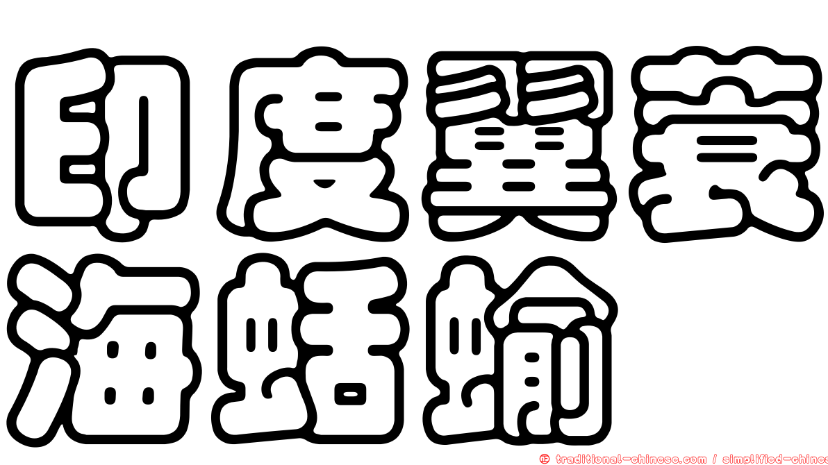 印度翼蓑海蛞蝓