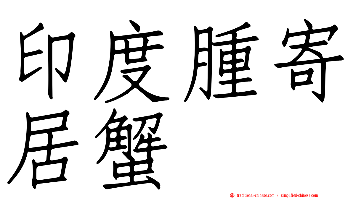 印度腫寄居蟹