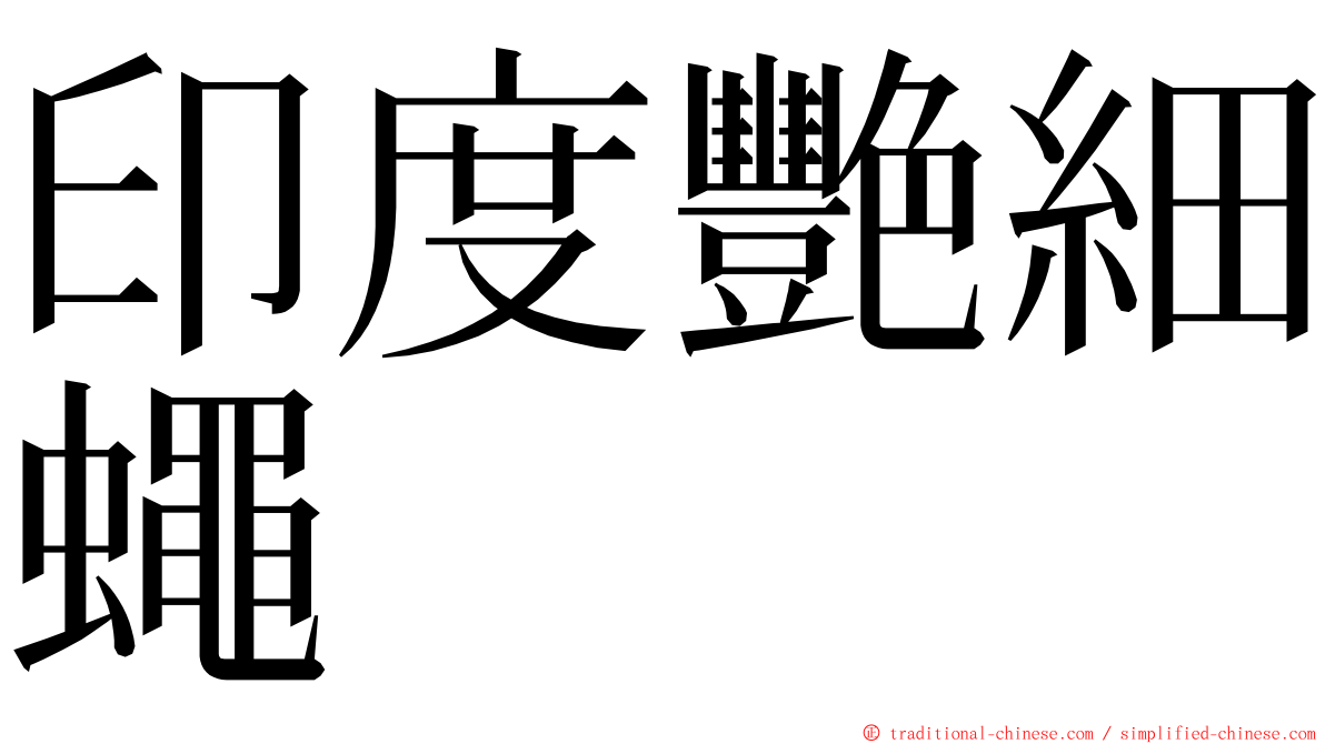 印度艷細蠅 ming font