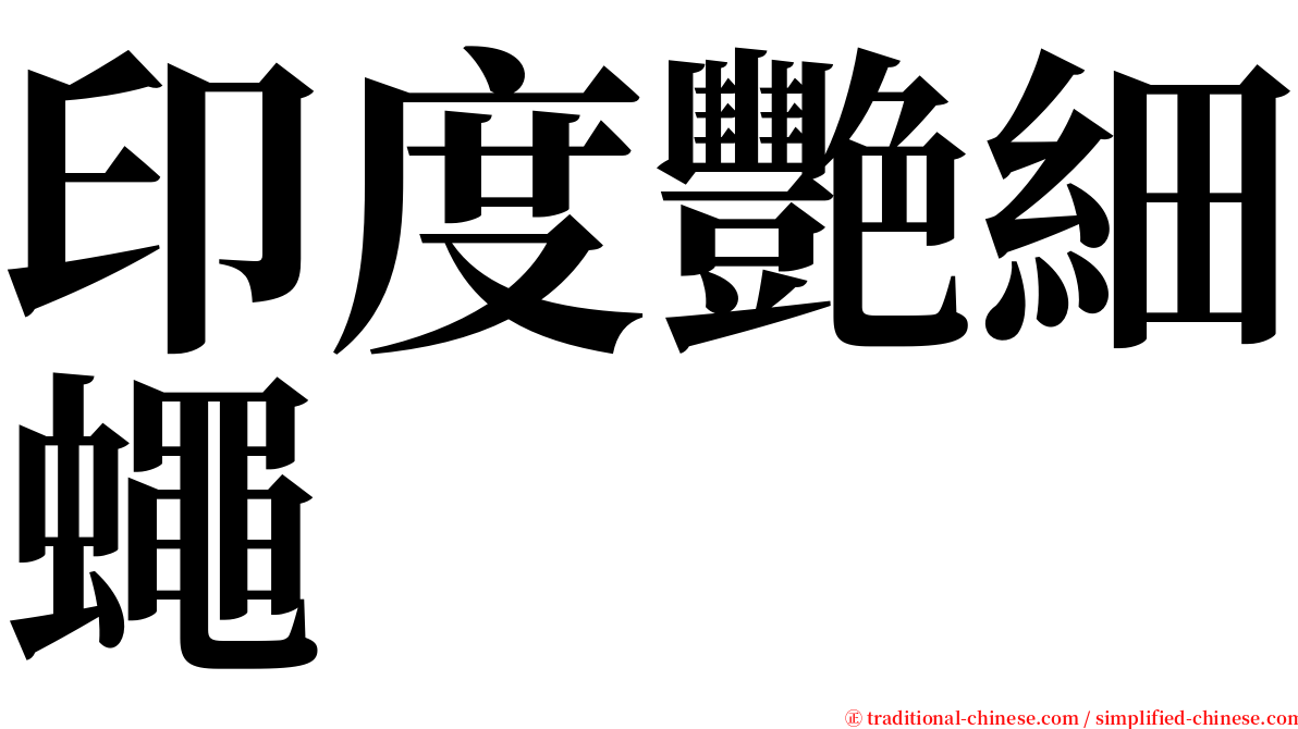 印度艷細蠅 serif font