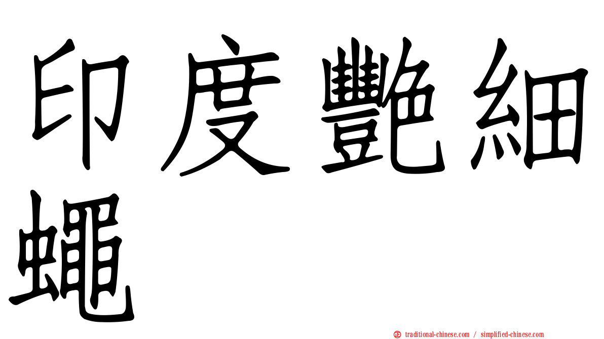 印度艷細蠅