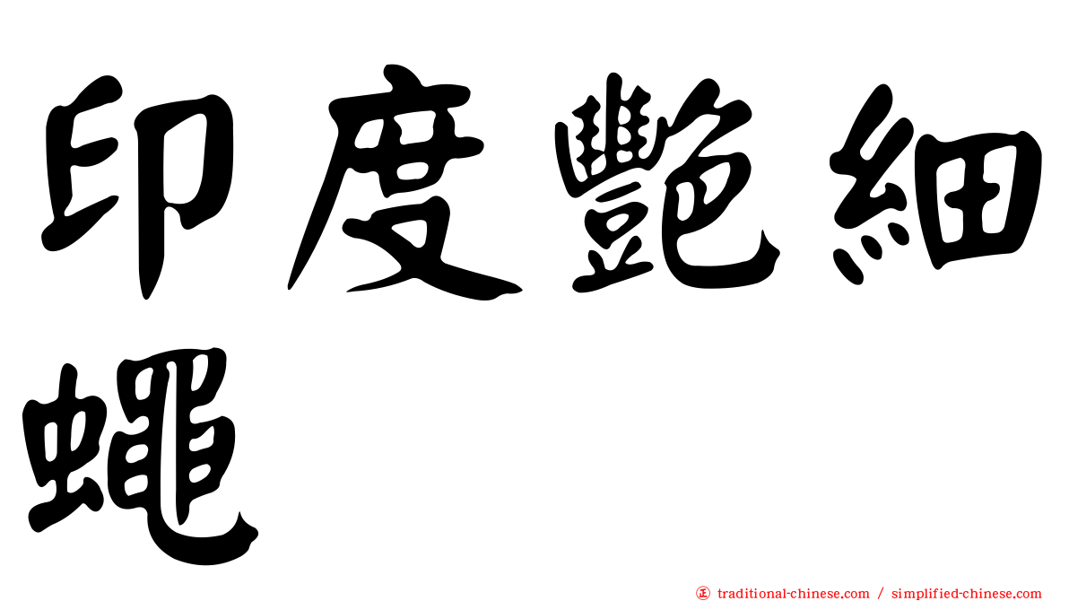 印度艷細蠅