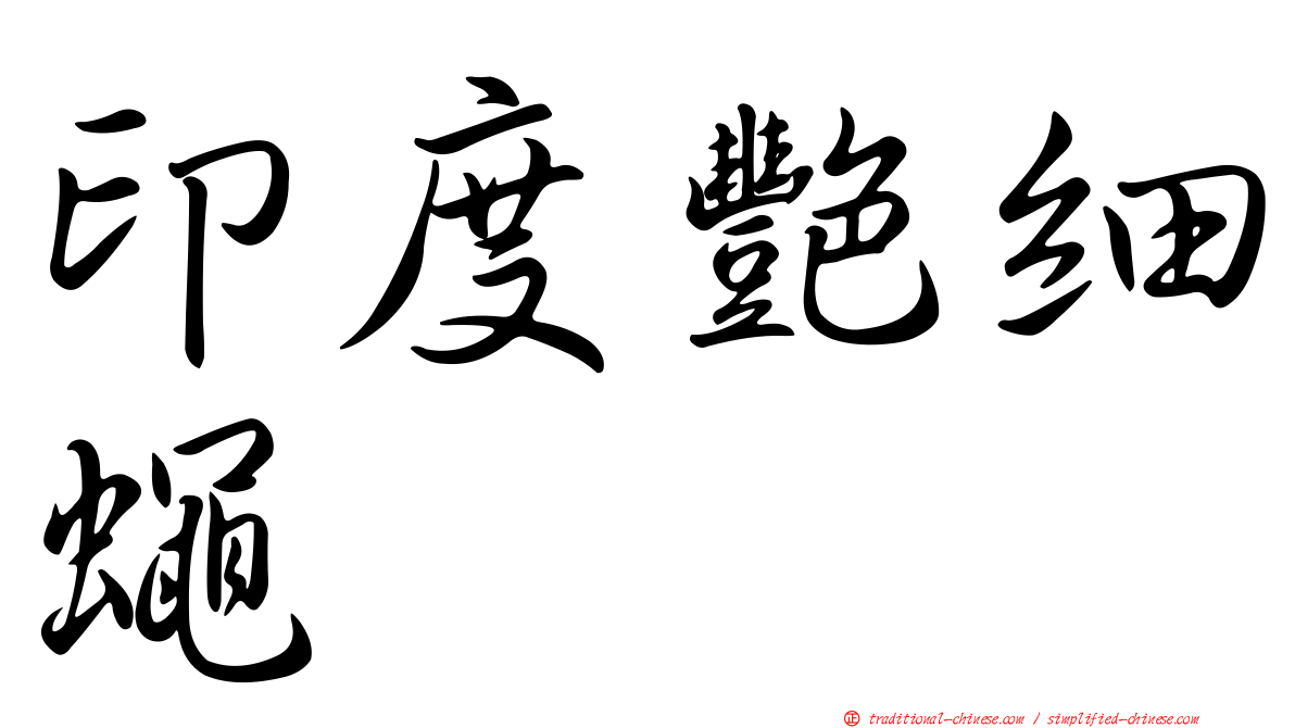 印度艷細蠅