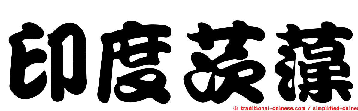 印度茨藻