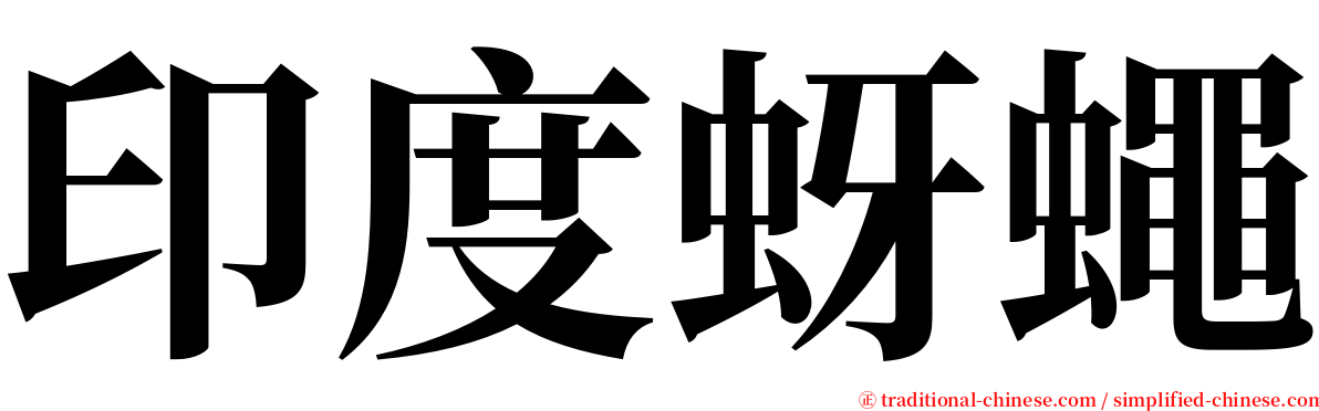 印度蚜蠅 serif font