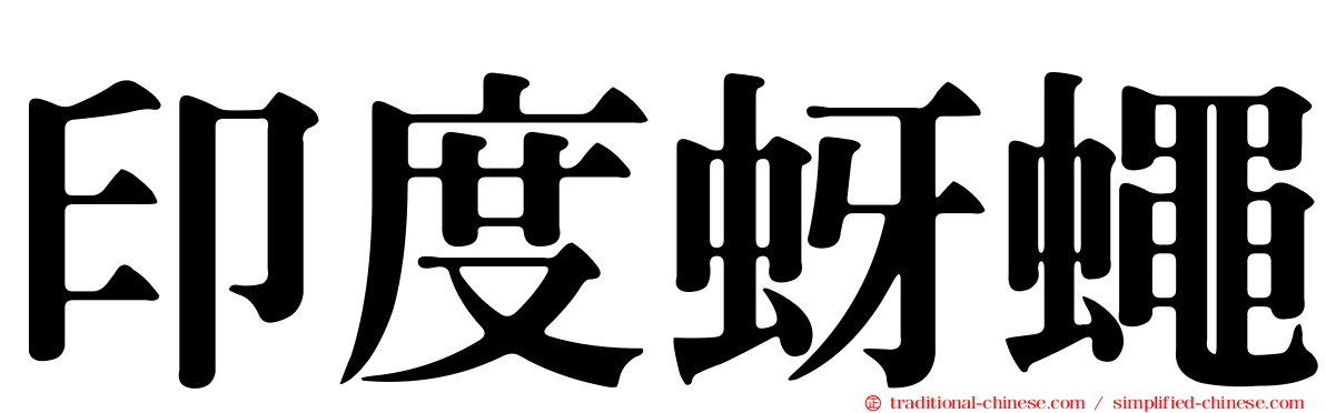 印度蚜蠅
