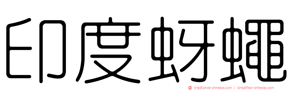 印度蚜蠅