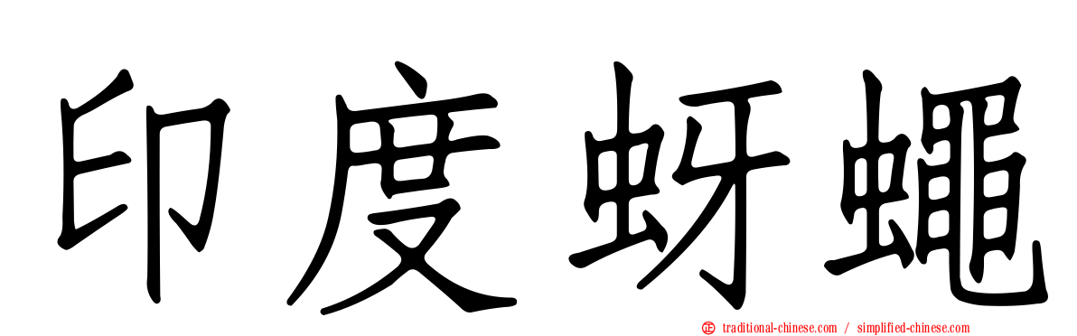 印度蚜蠅