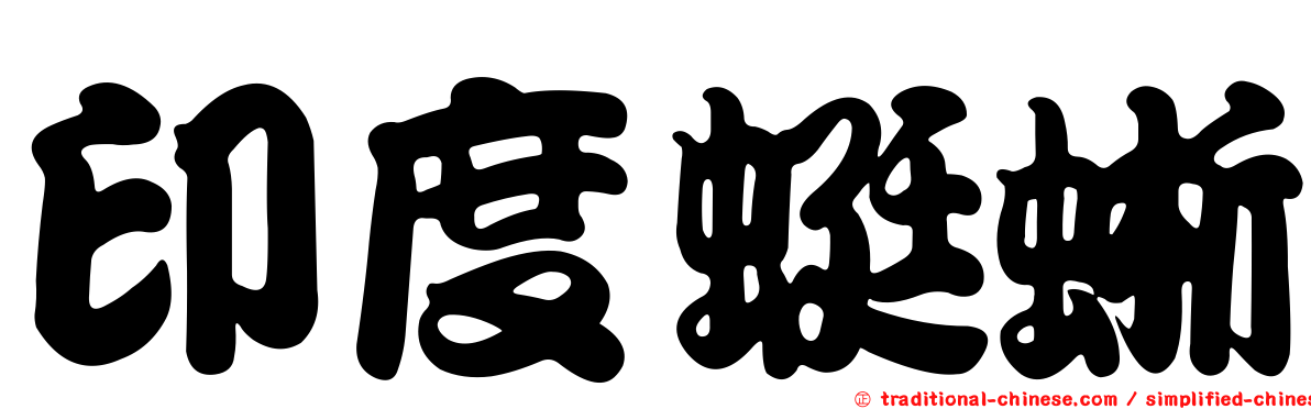印度蜓蜥