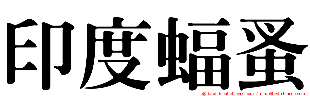 印度蝠蚤