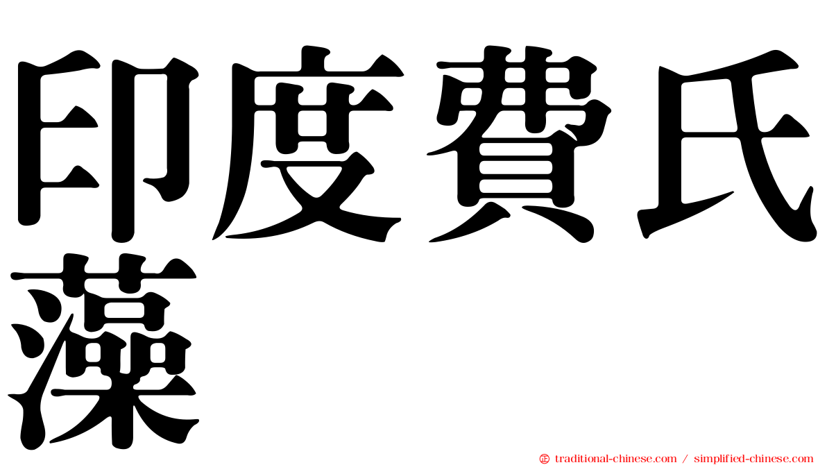 印度費氏藻